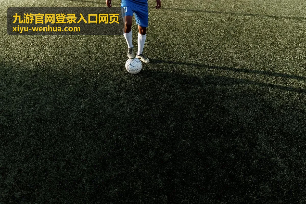 九游官网登录入口网页换设备登录的处理顺序示意